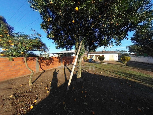 Imagem 4 de 10 de Terreno - Nossa Senhora Da Salete - Ref: 34307 - V-34304