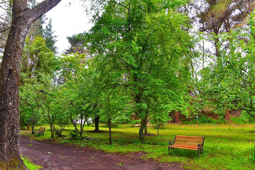 Parcela Con Casona A 20 Min Los Angeles Con Rio Bosques