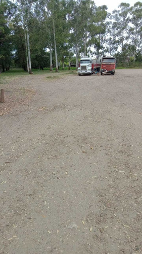 Imagen 6 de 10 de Venta 81% De Terreno