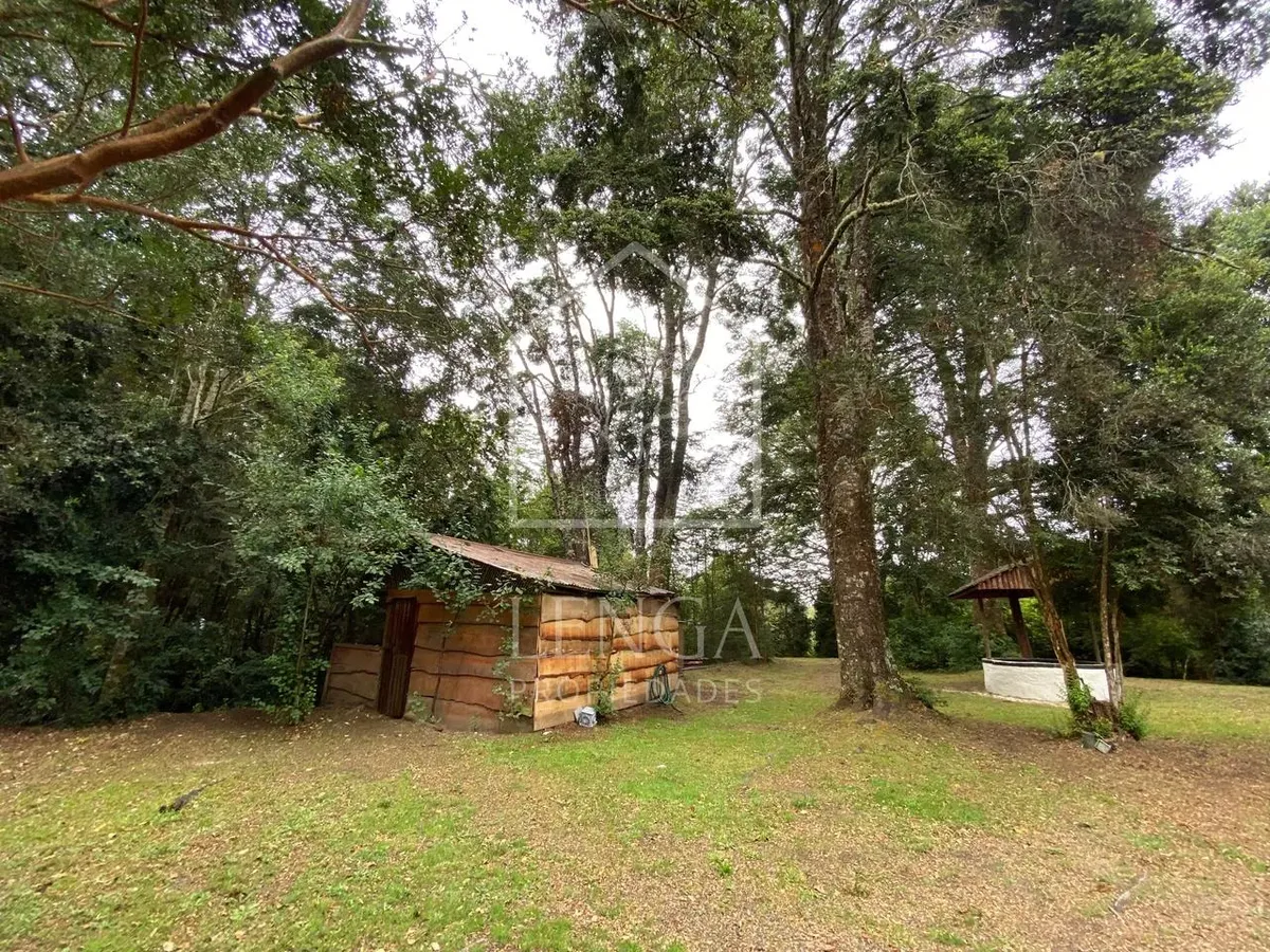 Imagen 1 de 20 de 3,1 Ha Con Cabaña A 700m De Hallazgo Arqueológico Monteverde