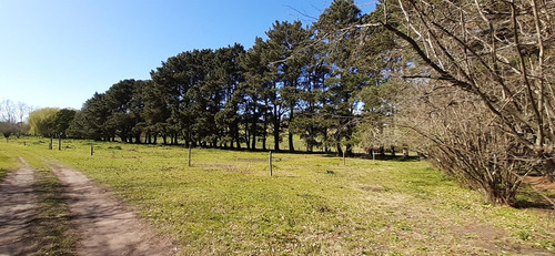 Fraccion De 8.1000 M² Parquizada Y Forestada
