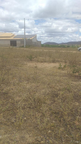 Imagem 3 de 7 de Terrenos À Venda Em Custodia/pe - Compre O Seu Terrenos Aqui! - 1342294