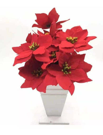 Flor De Natal | MercadoLivre 📦 Flor De Natal | MercadoLivre 📦