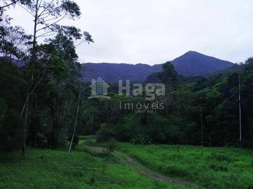 Imagem 29 de 30 de Sítio À Venda Em Canelinha/sc - 1652