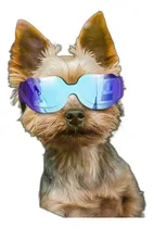 Comprar Gafas De Sol Para Perros Pequeños Para Perros Gafas De Prot