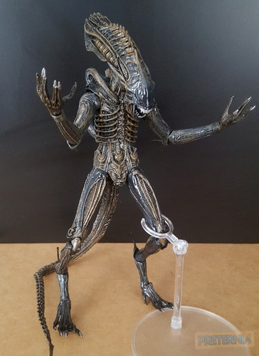 Imagen 6 de 7 de Figura Neca Comic Alien Defiance Dark Horse