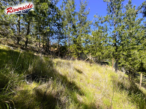 Parcela Con Gran Bosque, Ideal Para Refugio, Bucalemu
