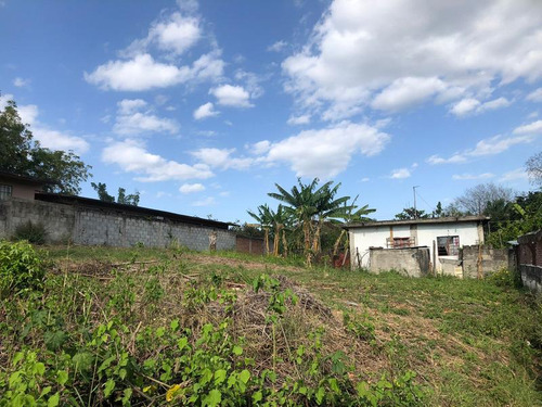 Venta Local Com. 924.21 M² Col. Alazan Alamo Temapache Ver.