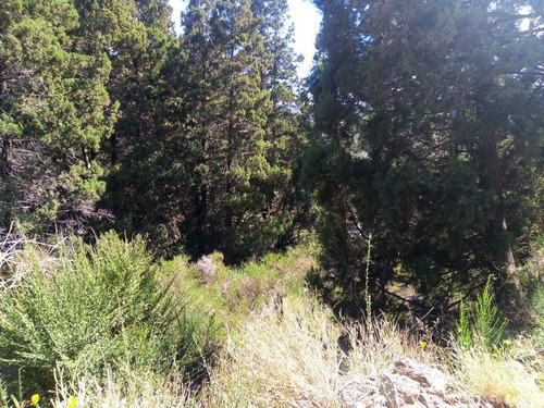 Imagen 2 de 4 de Fida Patagonia. Terreno En Venta De 3600m2 Ubicado En San Martin De Los Andes