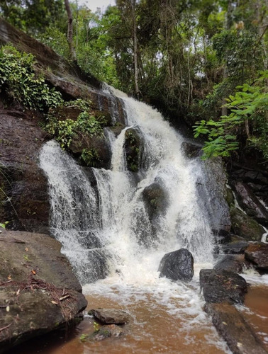 Imagem 5 de 14 de 49) Seu Terreno Está Aqui! Agende Uma Visita E Vem Conferir!