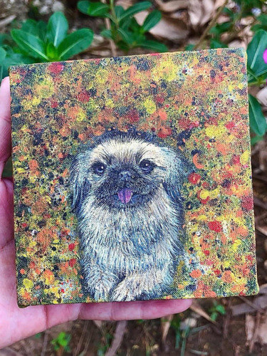 Pintura Personalizada Mascota