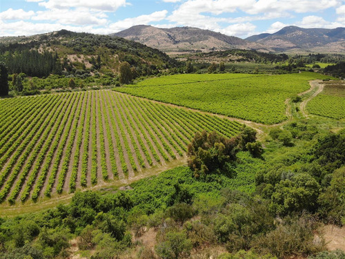 Agrícola En Venta En San Javier