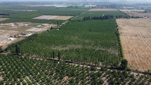 Venta De Campo En Calera De Tango Id. 53.452-cam