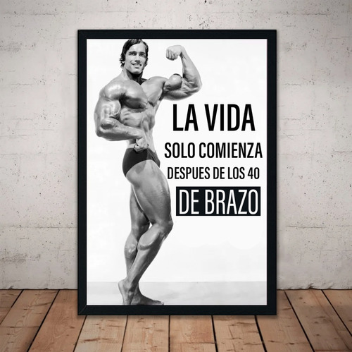 Cuadro Arnold Schwarzenegger Gym Marco Vidrio 51x36 Poster 9