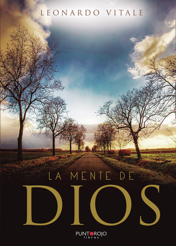 La mente de Dios, de VITALE , Leonardo.. Editorial Punto Rojo Libros S.L., tapa blanda, edición 1.0 en español, 2032