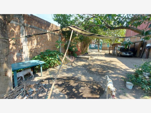 Imagen 5 de 10 de Terreno En Venta Progreso