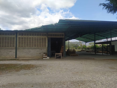 Finca En Venta Municipio Paz Castillo Valles Del Tuy Tc