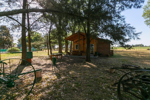 Imagen 3 de 30 de Oportunidad De Chacra Más Campo -18ha - En Virrey Del Pino