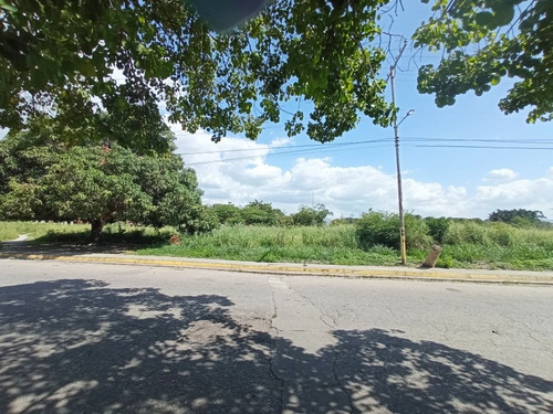 Imagen 10 de 10 de Terreno Venta Res. Palo Negro Casas, Canchas