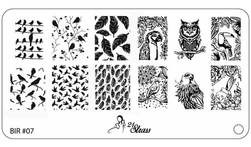 Placa Para Stamping De Acrílico 21 Strass Birds Pájaros