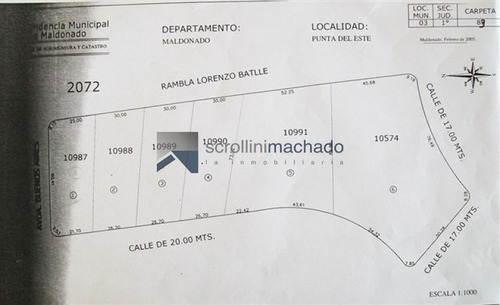 Imagen 2 de 2 de Terreno En Venta Rincon Del Indio -ref:2269
