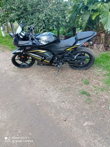 Imagen 5 de 5 de Kawasaki Ninja Ex250