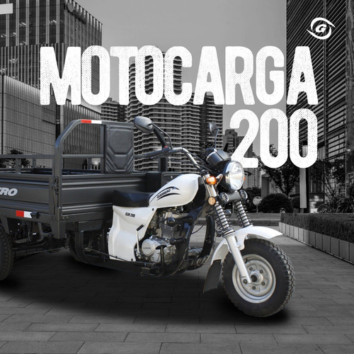 Imagen 14 de 15 de Guerrero Motocarga 200