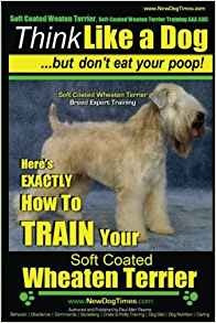 Soft Coated Wheaten Terrier, Soft Coated Wheaten Terrier Tra