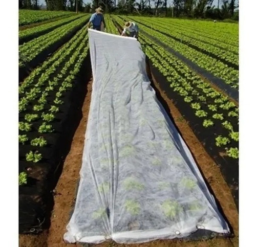 Tela Antihelada 2m X 50m Para Jardinería