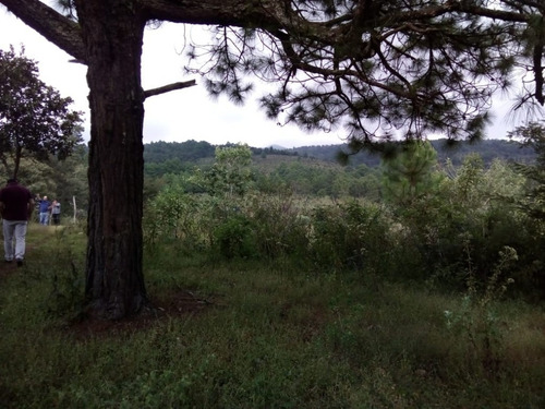 Imagen 5 de 6 de Terreno Rustico En Venta En La Localidad El Manzanillo