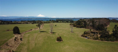 Imagen 14 de 16 de Agrícola En Venta En Río Bueno