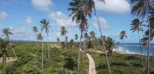 Terreno En Bavaro Punta Cana, La Vacama De Nisibon, Terreno Con Vista Al Mar De 277,672 Metros, 240 Metros Lineal De Playa, Precio Economico
