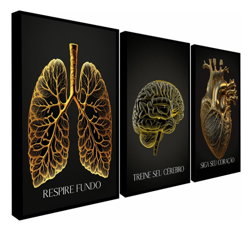 Quadros Decorativo Medicina Anatomia Coração Cerebro Moldura