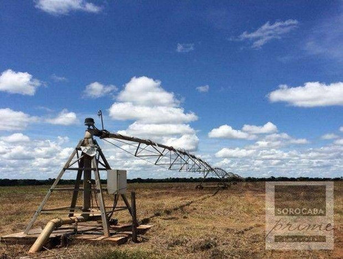 Imagem 3 de 10 de Fazenda Bodoquena À Venda - Corumbá/ms - Fa0029