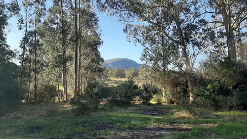 Chacra En Piriápolis