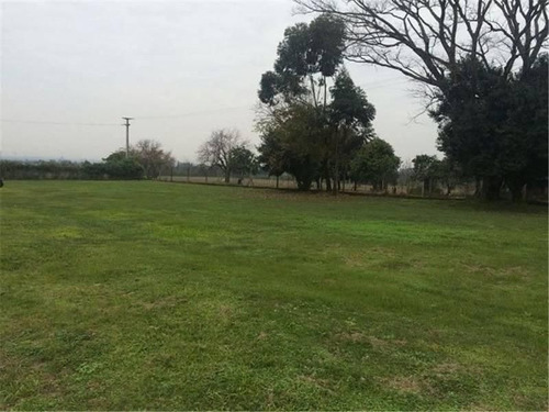 Imagen 6 de 7 de Lote | Yerba Buena