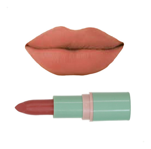 Batom Matte Aveludado Terracota Shine Colors Abelha Rainha