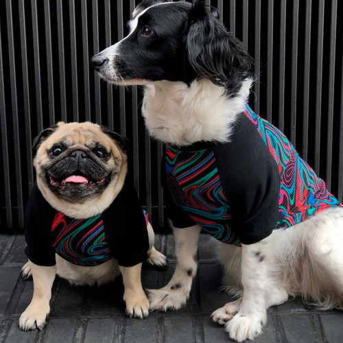 Remeras Y Musculosas Para Perros Y Gatos Super Cancheras