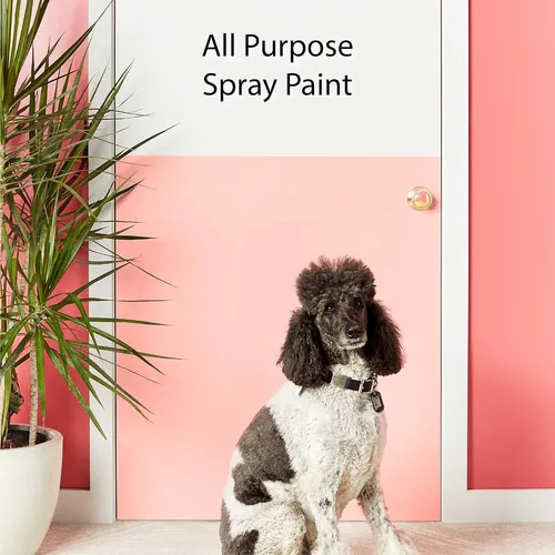Pintura Y Primer En Spray Krylon Colormaxx 12 Oz K05584007