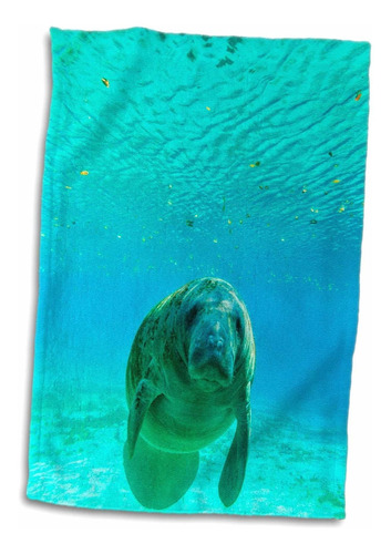 Toalla De 3d Rose Manatee Swimming-crystal River-flori...