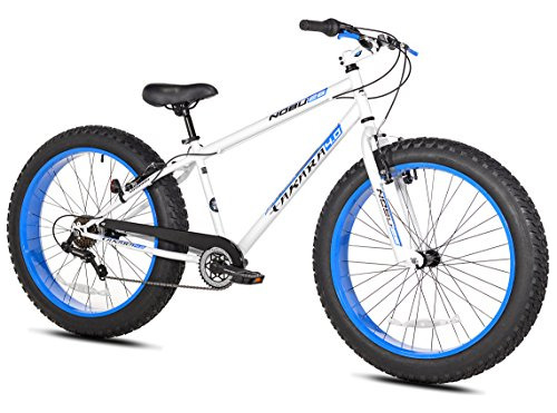 Bicicleta Takara Nobu Fat 26  Blanca/azul