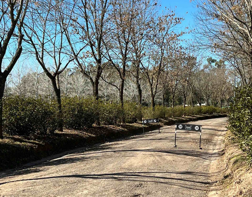 Imagen 10 de 26 de Venta Lote Barrio Privado San Antonio De Areco