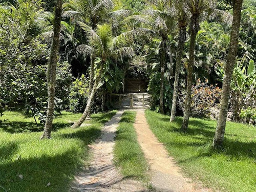 Imagem 1 de 20 de Lindo Sitio Na Estrada Italia Com Mais De 40 Arvores Frutíferas - Ca0405