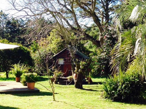 Muy Linda Casa Con Espectacular Terreno De 6000 Mts2 Parquizados!