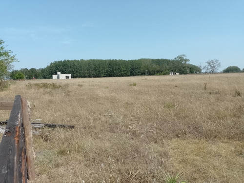 Terrenos En Venta En Zona Rural Partido De Chascomús.