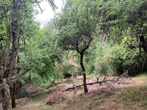 Parcela De 7.500 Mt2 En Sector Puninque