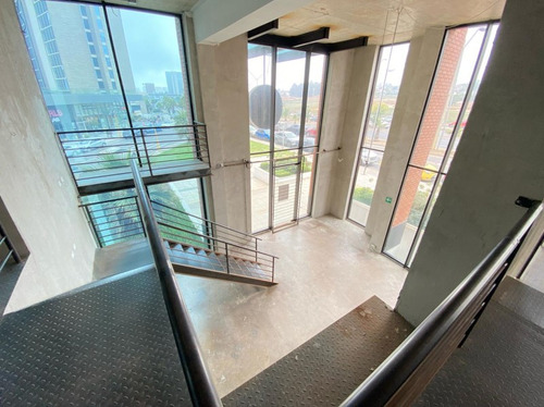 Local Comercial De 360 M2 En Bosques De Montemar