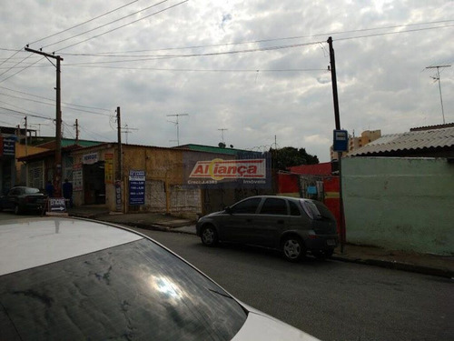 Terreno Comercial À Venda, Vila Endres, Guarulhos - Te0058. - Ai1898