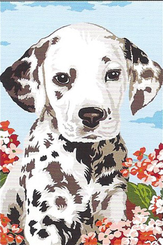 Petit Dalmatien Cachorro Diseño Lona Aguja