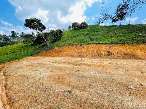 Lote En Venta En San Roque, Antioquia  